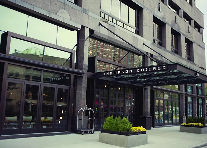 Hotel que admite mascotas: Thompson Chicago, By Hyatt