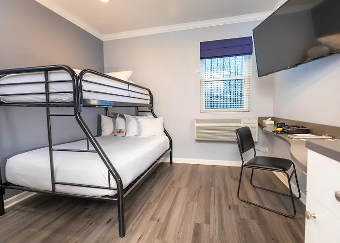 Trip to College Chicago West Loop, Surestay Collection By Best Western