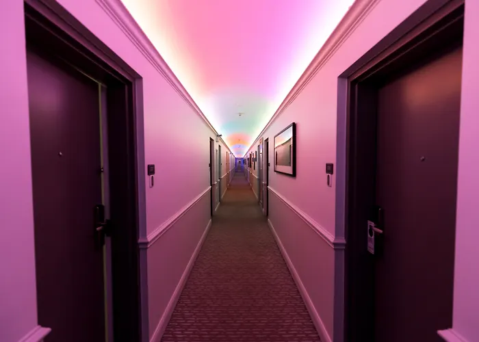 Trip to College Chicago West Loop, Surestay Collection By Best Western